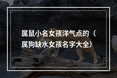 属鼠小名女孩洋气点的（属狗缺水女孩名字大全）