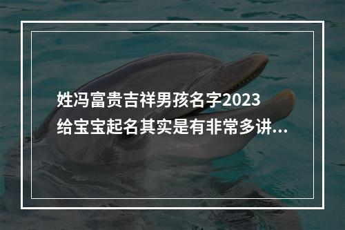 姓冯富贵吉祥男孩名字2023 给宝宝起名其实是有非常多讲究的