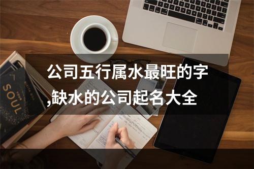 公司五行属水最旺的字,缺水的公司起名大全