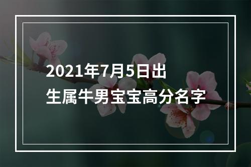2021年7月5日出生属牛男宝宝高分名字