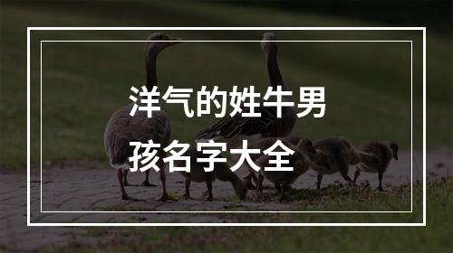 洋气的姓牛男孩名字大全