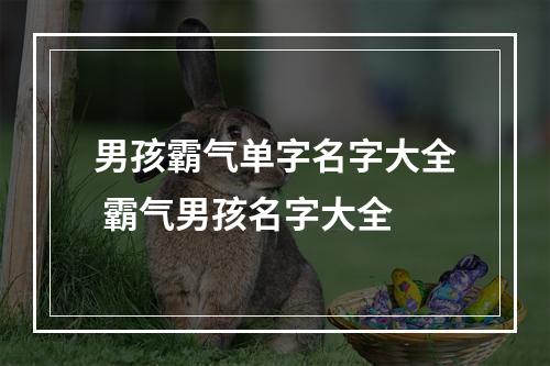 男孩霸气单字名字大全 霸气男孩名字大全