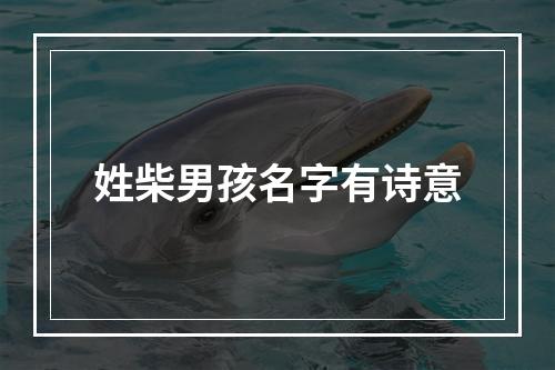 姓柴男孩名字有诗意