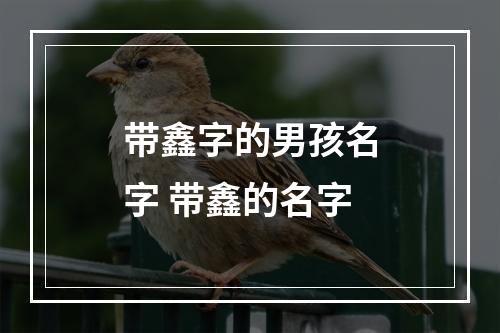 带鑫字的男孩名字 带鑫的名字