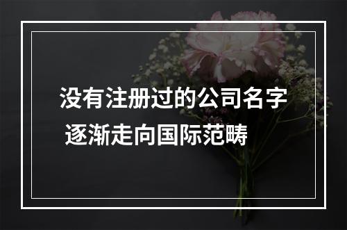 没有注册过的公司名字 逐渐走向国际范畴