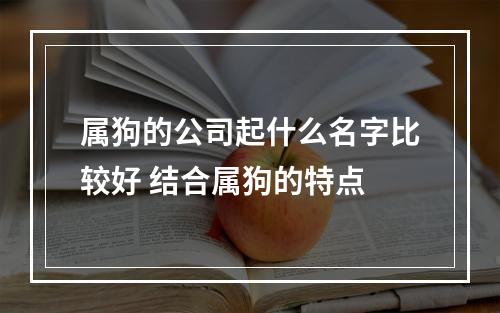 属狗的公司起什么名字比较好 结合属狗的特点