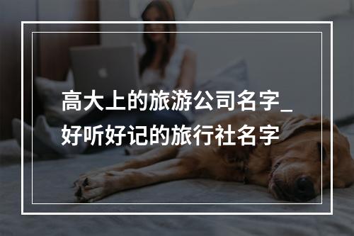 高大上的旅游公司名字_好听好记的旅行社名字