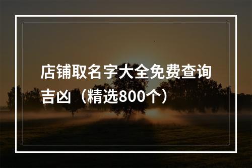店铺取名字大全免费查询吉凶（精选800个）