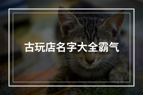 古玩店名字大全霸气