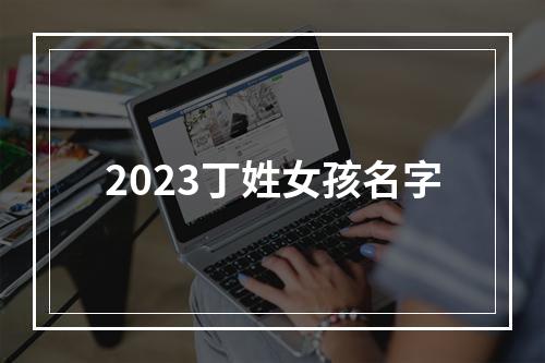 2023丁姓女孩名字