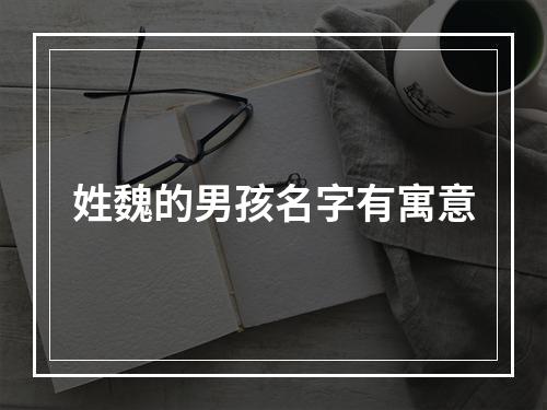 姓魏的男孩名字有寓意