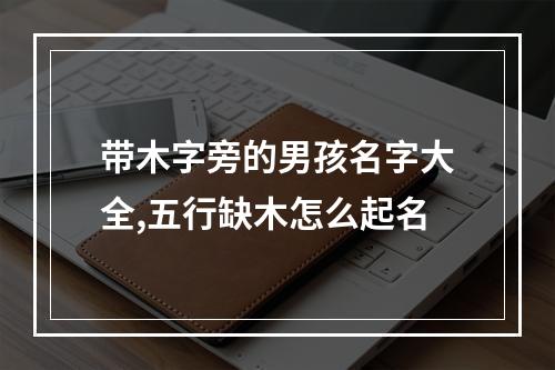 带木字旁的男孩名字大全,五行缺木怎么起名