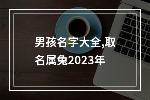 男孩名字大全,取名属兔2023年