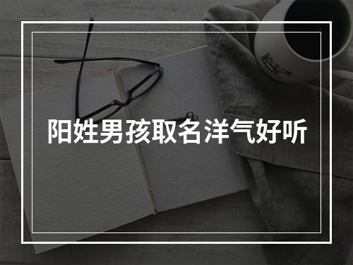 阳姓男孩取名洋气好听