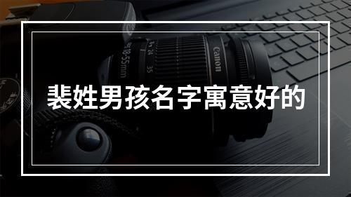 裴姓男孩名字寓意好的