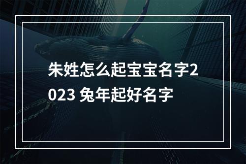 朱姓怎么起宝宝名字2023 兔年起好名字