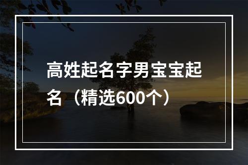 高姓起名字男宝宝起名（精选600个）