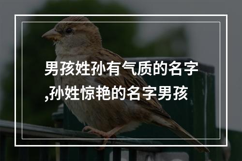 男孩姓孙有气质的名字,孙姓惊艳的名字男孩
