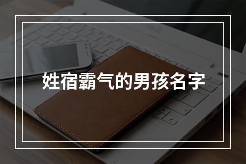 姓宿霸气的男孩名字