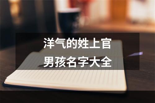 洋气的姓上官男孩名字大全