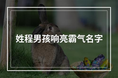 姓程男孩响亮霸气名字