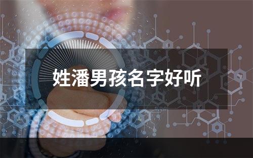 姓潘男孩名字好听