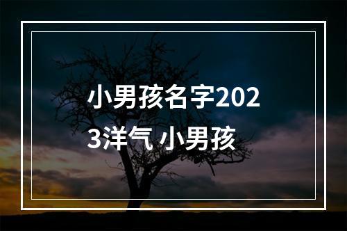 小男孩名字2023洋气 小男孩