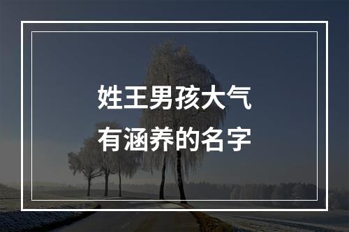 姓王男孩大气有涵养的名字