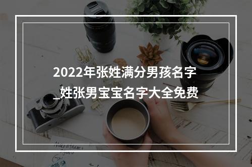 2022年张姓满分男孩名字_姓张男宝宝名字大全免费