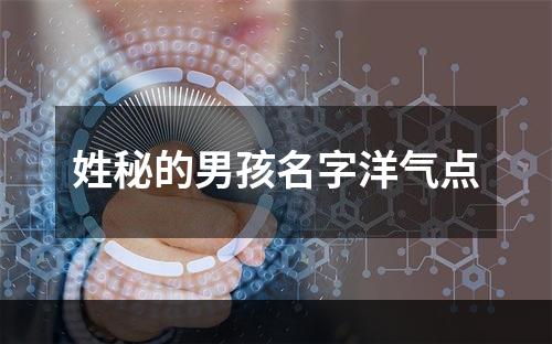 姓秘的男孩名字洋气点