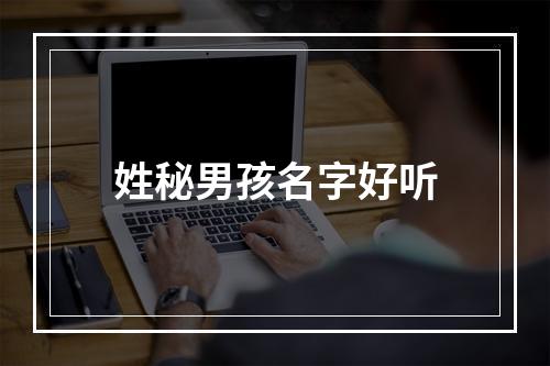 姓秘男孩名字好听