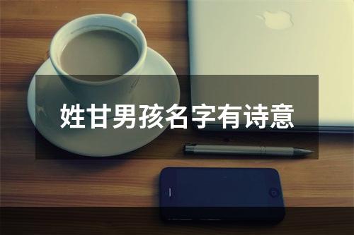 姓甘男孩名字有诗意