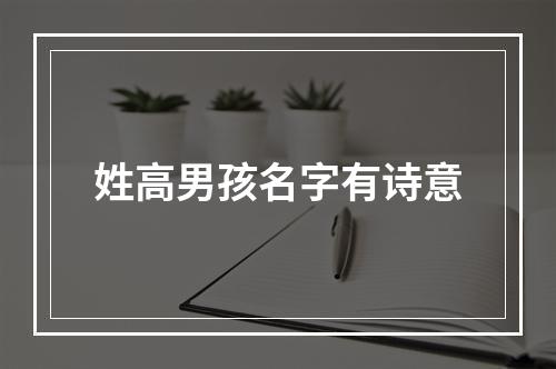 姓高男孩名字有诗意