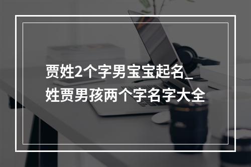 贾姓2个字男宝宝起名_姓贾男孩两个字名字大全