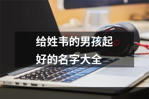 给姓韦的男孩起好的名字大全