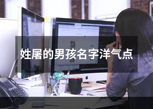 姓屠的男孩名字洋气点