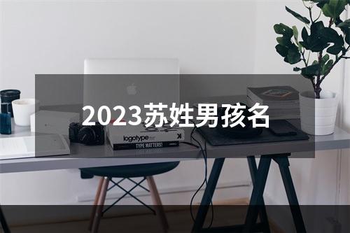 2023苏姓男孩名