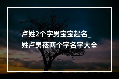 卢姓2个字男宝宝起名_姓卢男孩两个字名字大全