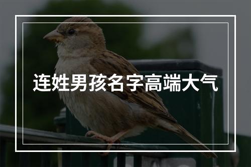 连姓男孩名字高端大气