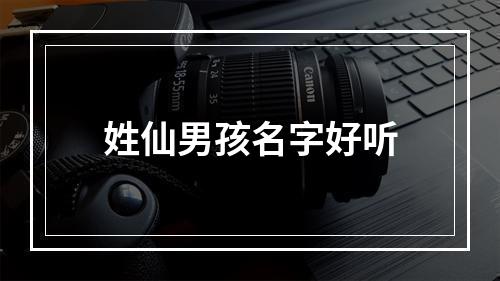 姓仙男孩名字好听