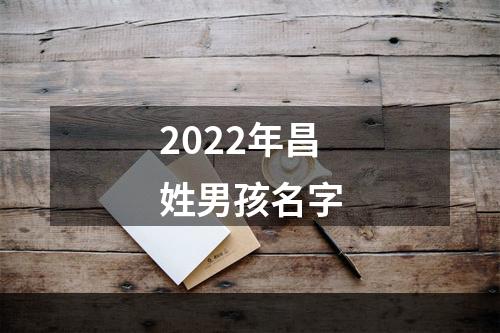 2022年昌姓男孩名字