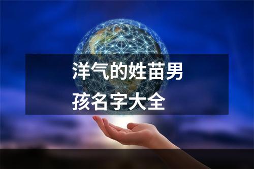 洋气的姓苗男孩名字大全