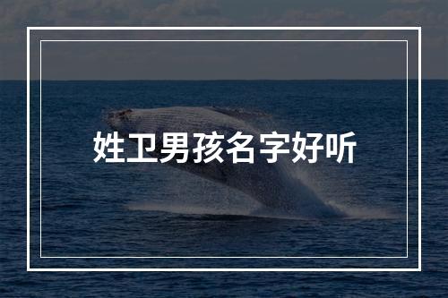姓卫男孩名字好听
