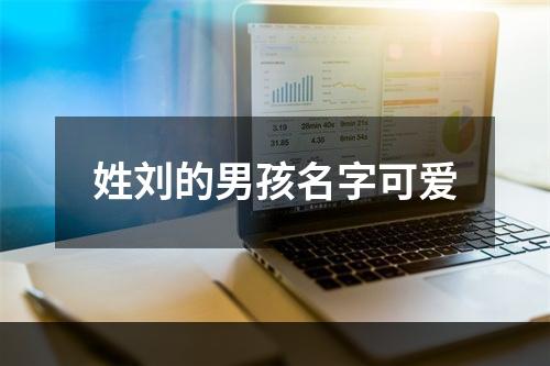 姓刘的男孩名字可爱