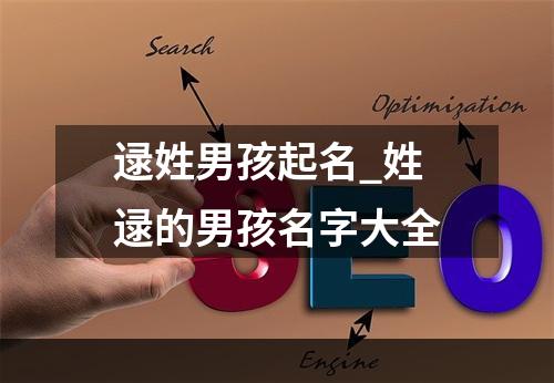逯姓男孩起名_姓逯的男孩名字大全