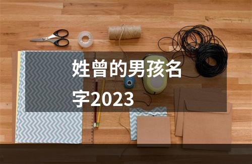 姓曾的男孩名字2023
