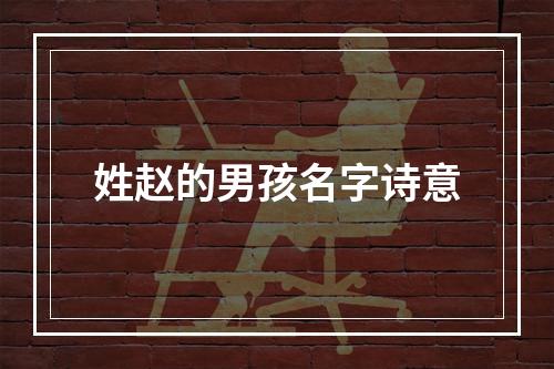 姓赵的男孩名字诗意
