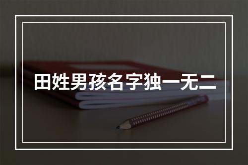 田姓男孩名字独一无二