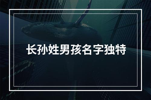 长孙姓男孩名字独特