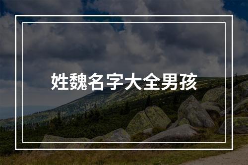 姓魏名字大全男孩